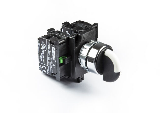 Emas Metal 2NA 2NA 2-0-1 60° Seçici Kalıcı 22 mm Buton CM303S30