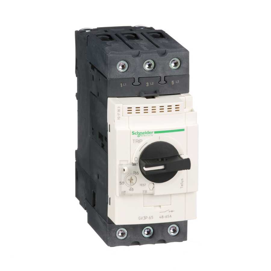  Motor Koruma 48-65a 15-100ka Tesys Gv Schneıder